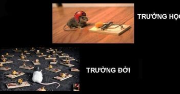 Những điều nhà trường không dạy
