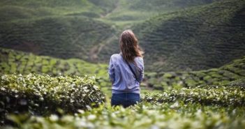 Người Có Nhớ Ta Chăng ?