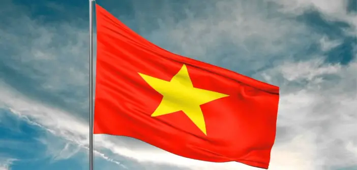 Vừa chơi vừa học cùng bé yêu  Hướng dẫn vẽ và cách nhận biết các lá cờ  trên thế giới  Vietnam shopping